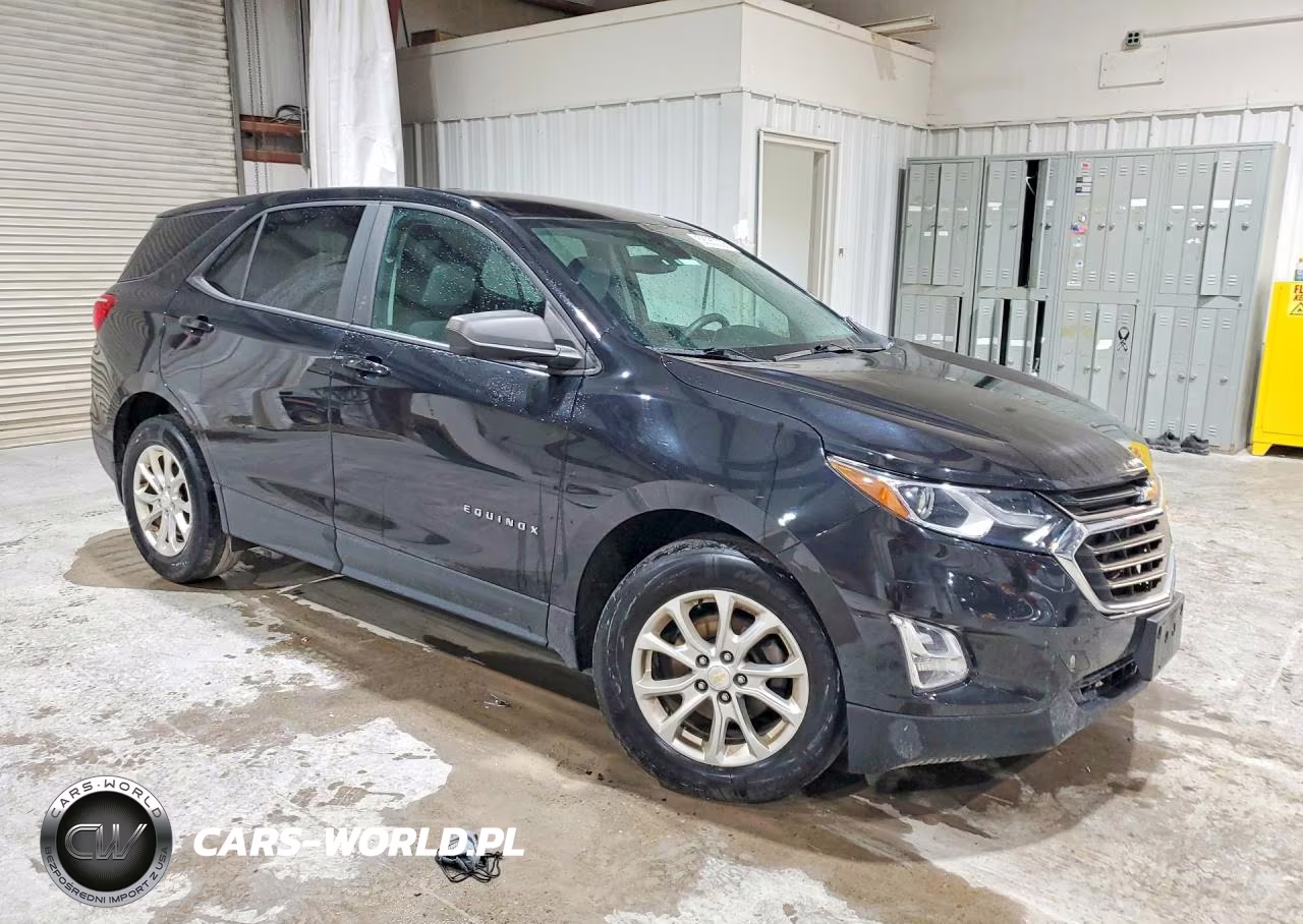 2020 Chevrolet Equinox Ls VIN:2GNAXSEVXL6131102 - 4