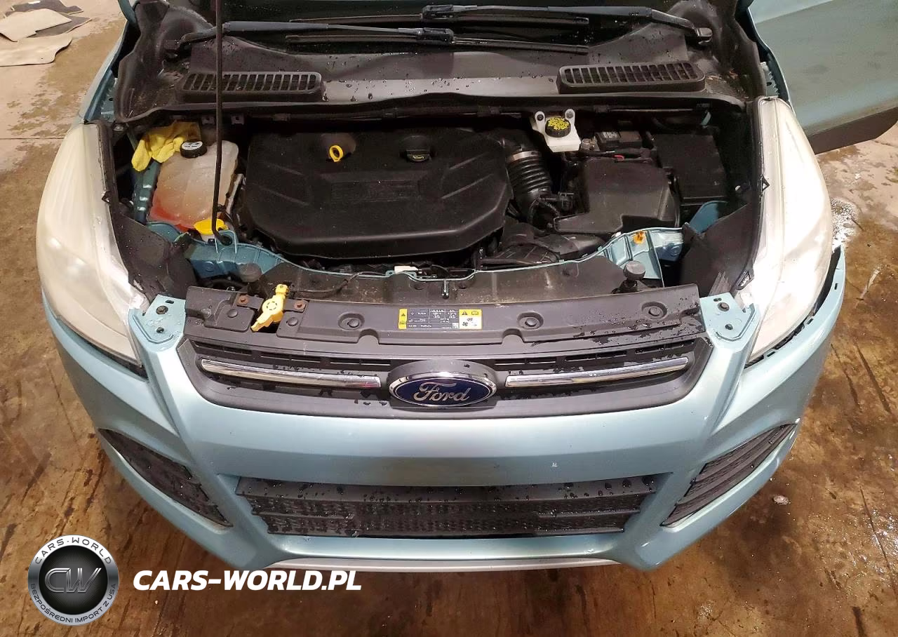 2013 Ford Escape Se VIN:1FMCU9G99DUB35871 - 12