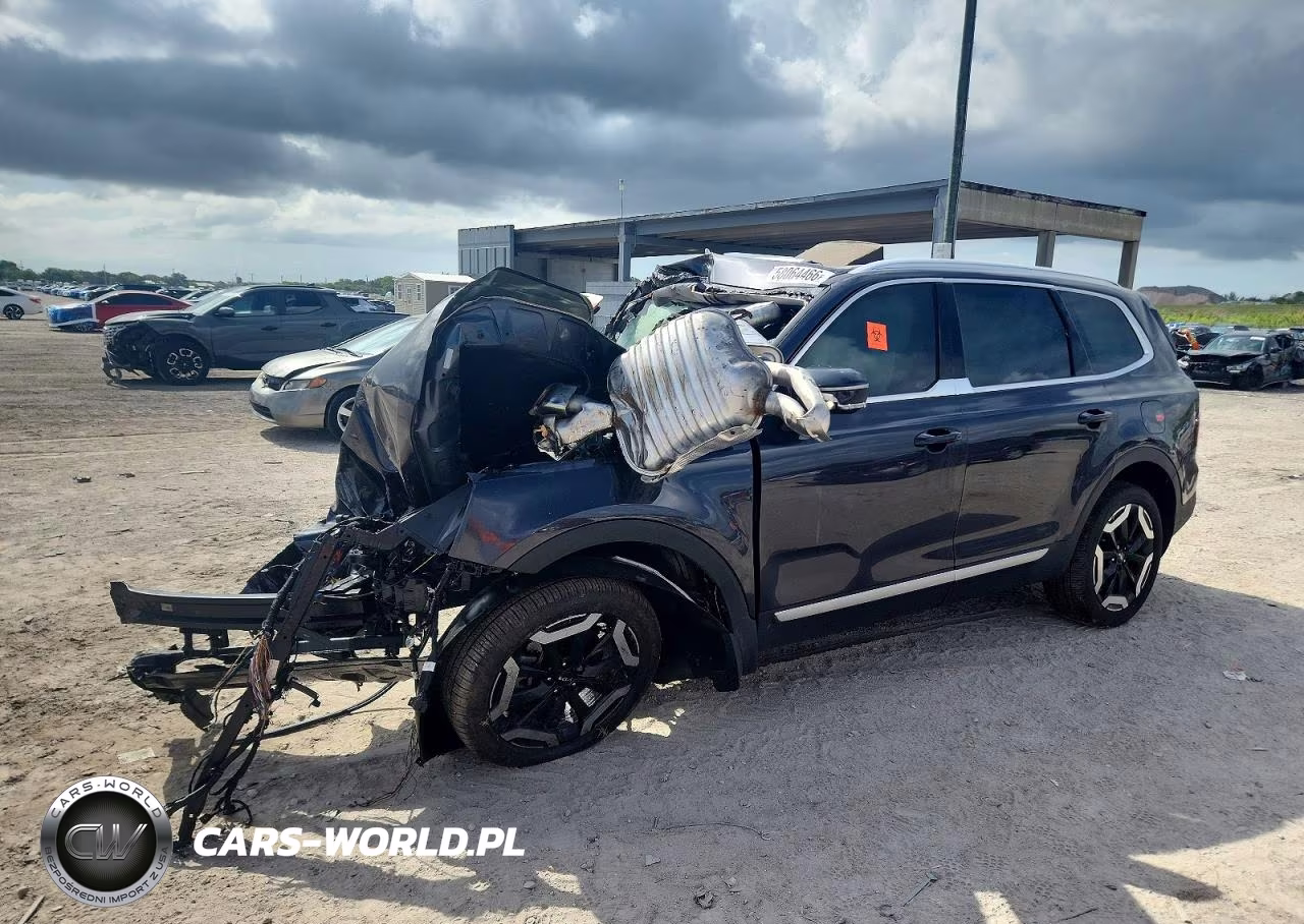 2025 Kia Telluride Ex VIN:5XYP34GC8SG681695 - 2