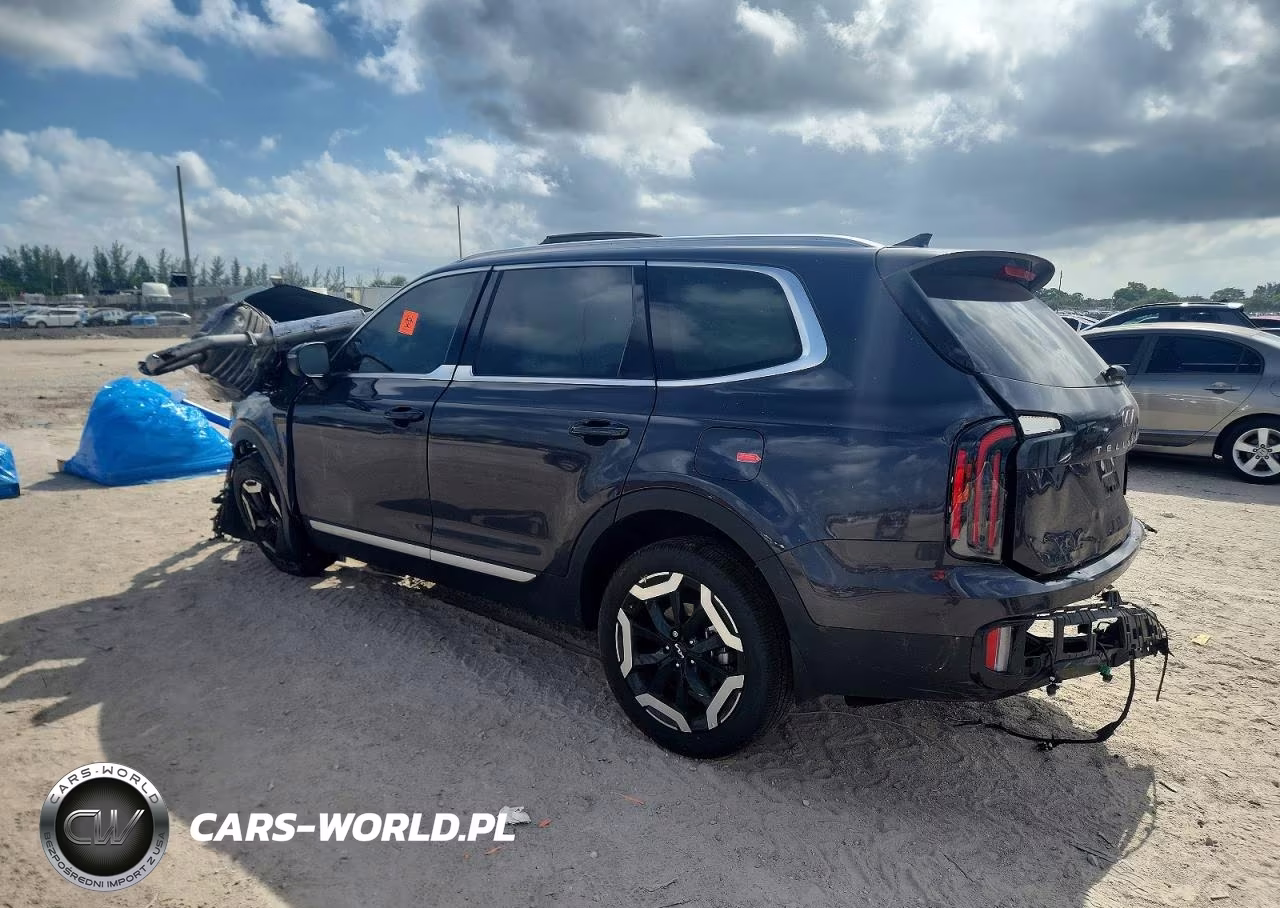 2025 Kia Telluride Ex VIN:5XYP34GC8SG681695 - 3