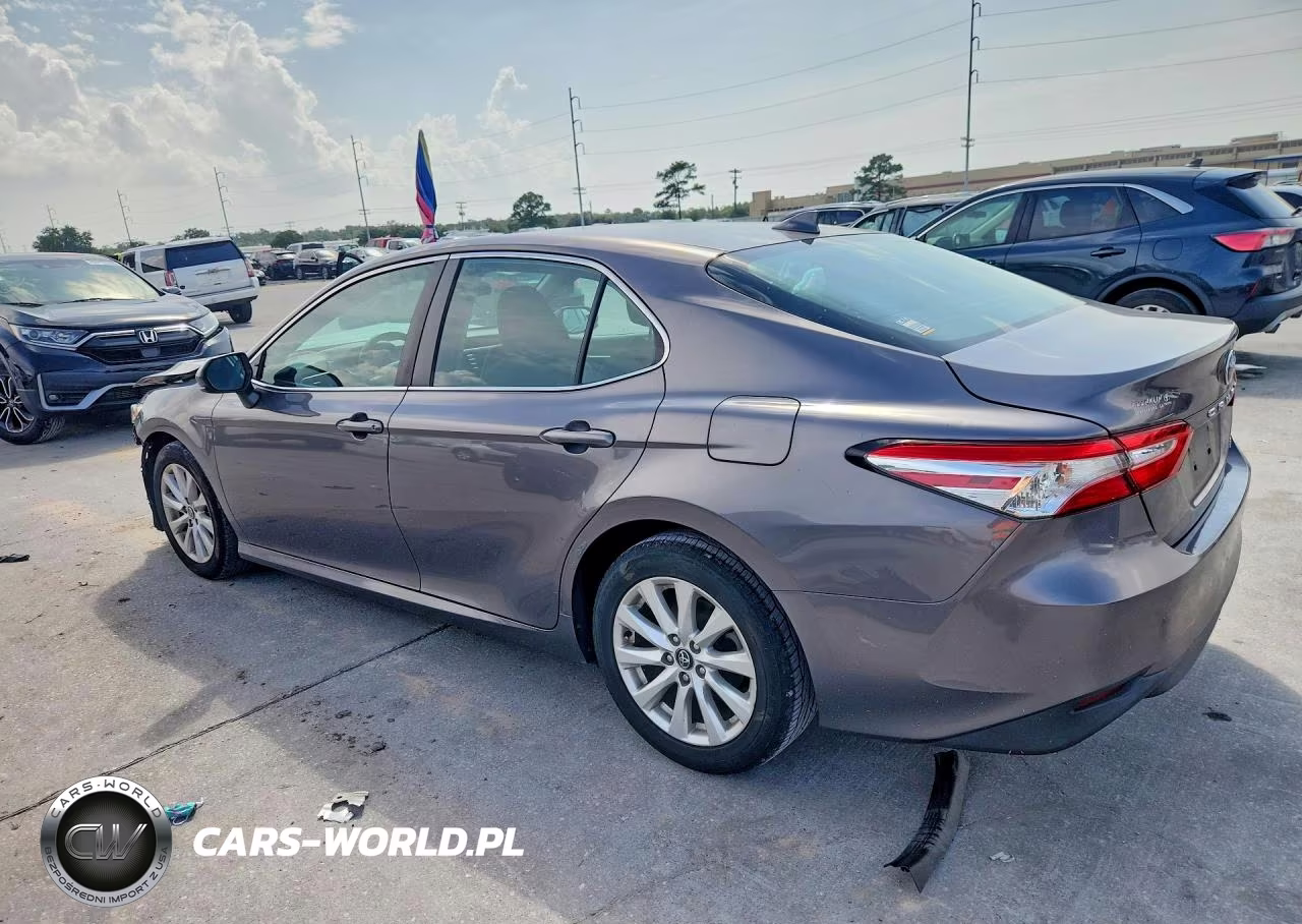 2020 Toyota Camry Le VIN:4T1C11AK2LU923671 - 2
