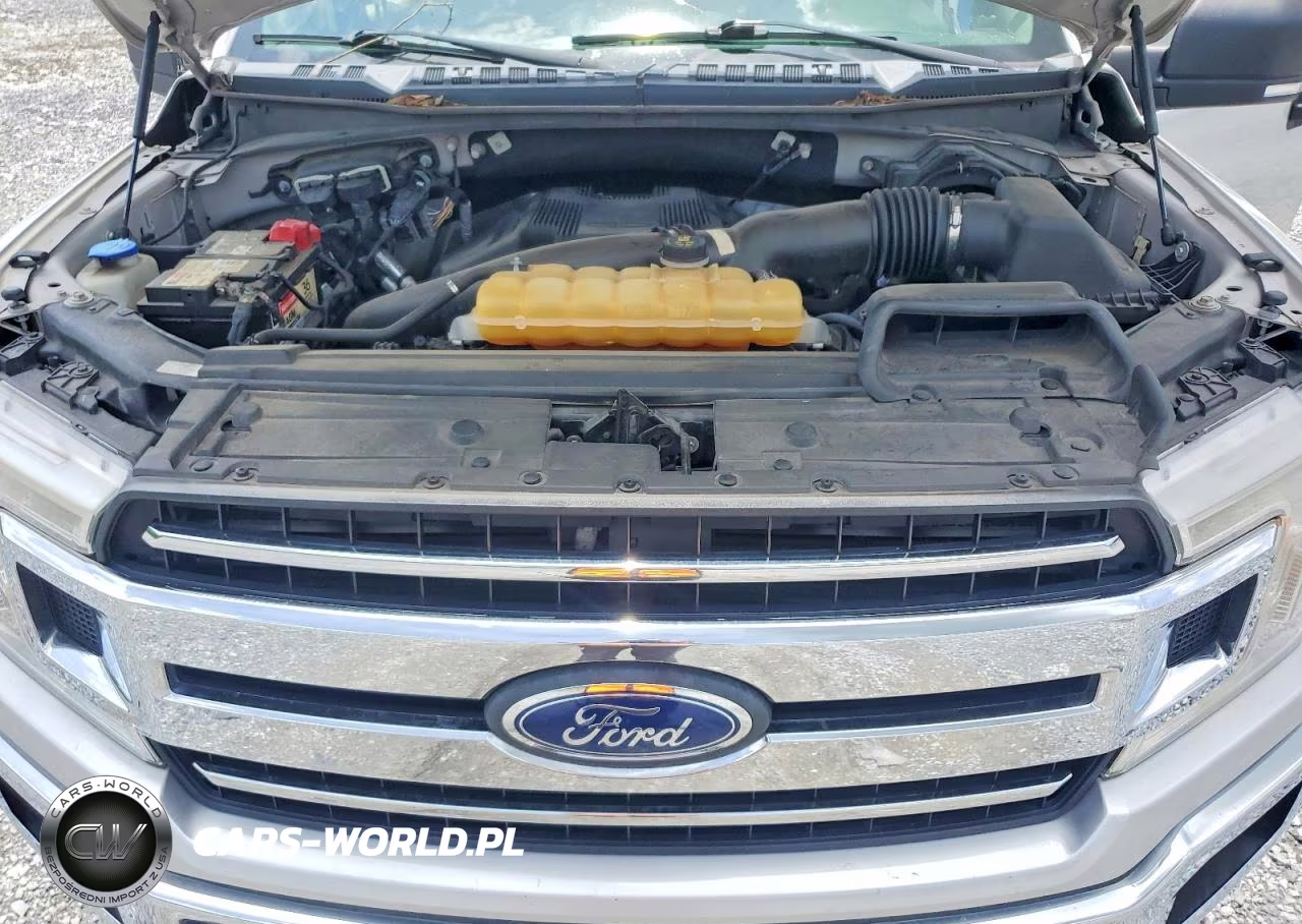 2018 Ford F150 Supercrew VIN:1FTEW1EGXJKC43031 - 11