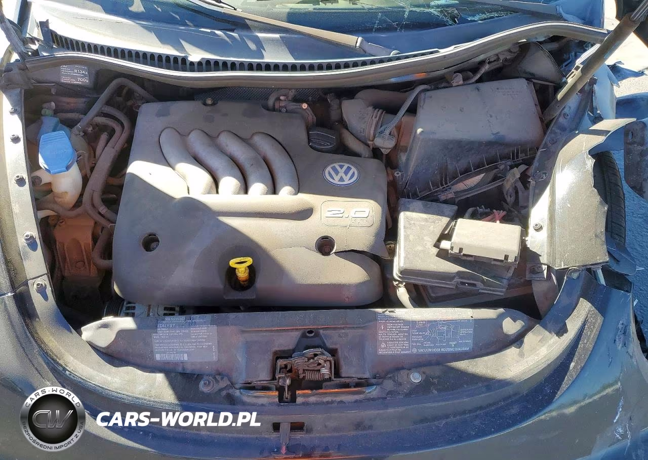 1999 Volkswagen New Beetle Gl VIN:3VWBC21C5XM443513 - 11