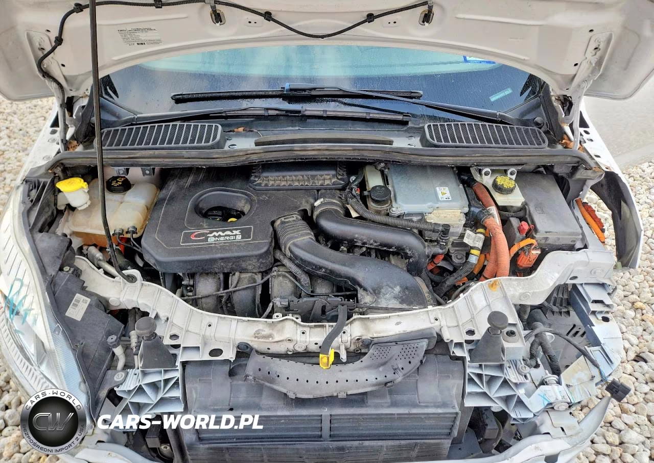 2017 Ford C-Max Titanium VIN:1FADP5FU9HL107875 - 11