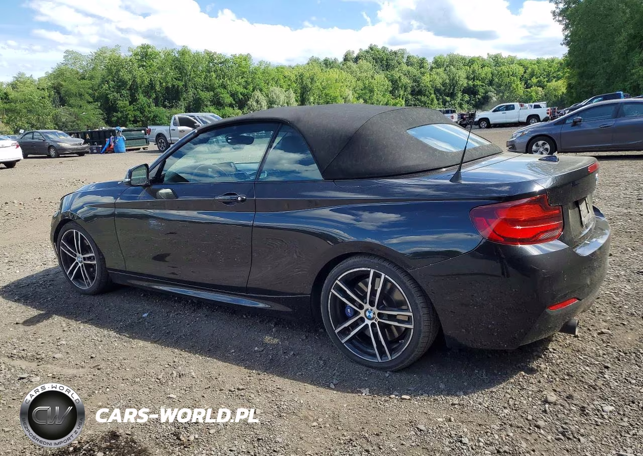 2020 BMW M240I VIN:WBA2N1C06L7D91582 - 2