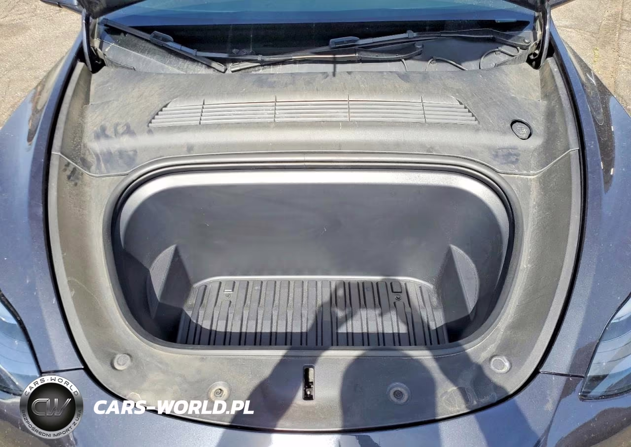 2024 Tesla Model Y VIN:7SAYGAEE8RF035542 - 11