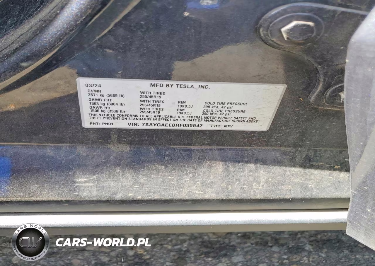 2024 Tesla Model Y VIN:7SAYGAEE8RF035542 - 12