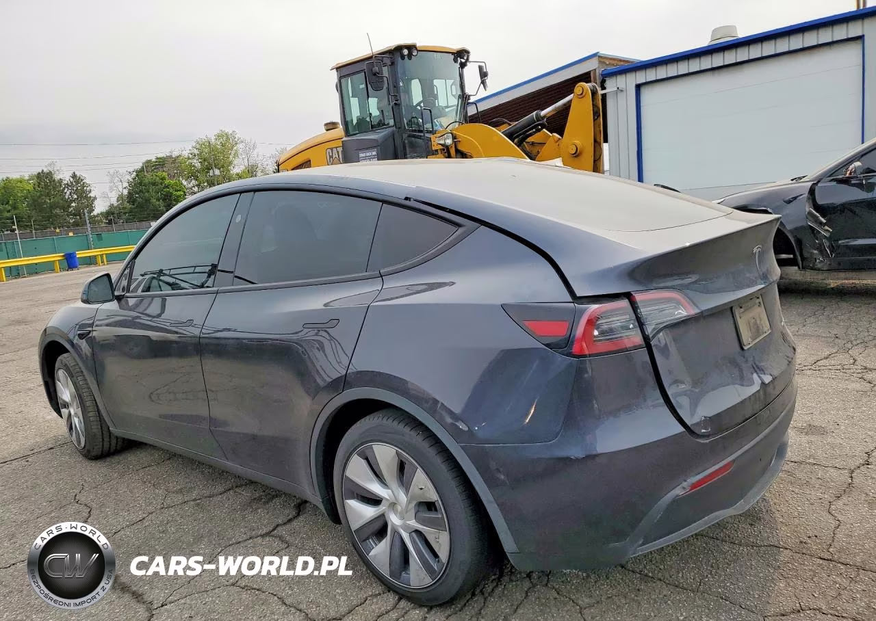 2024 Tesla Model Y VIN:7SAYGAEE8RF035542 - 2
