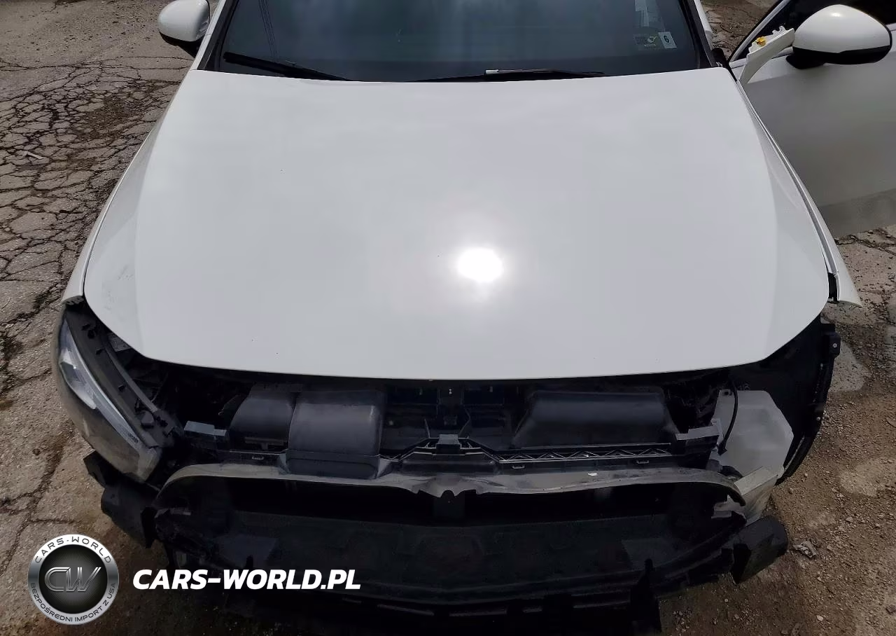 2019 Mercedes-Benz A 220 VIN:WDD3G4EB5KW001161 - 11