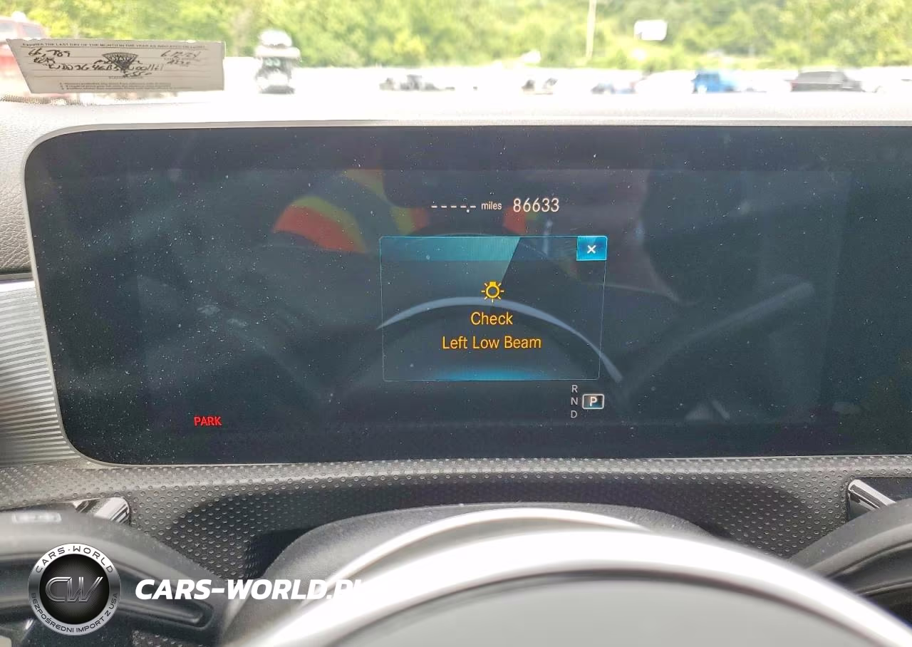 2019 Mercedes-Benz A 220 VIN:WDD3G4EB5KW001161 - 9