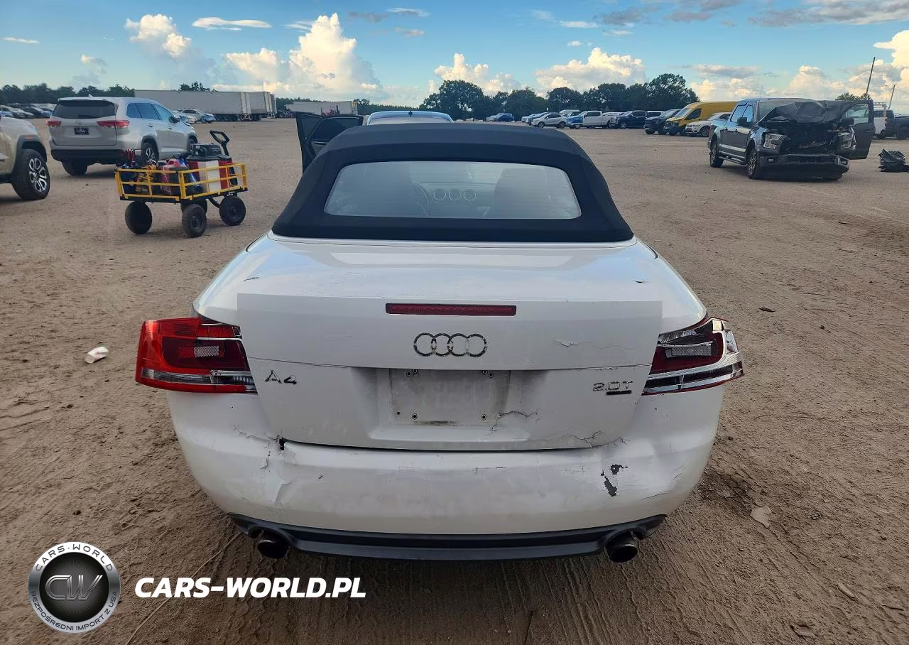 2009 Audi A4 2.0T Cabriolet Quattro VIN:WAUDF48H69K008815 - 6