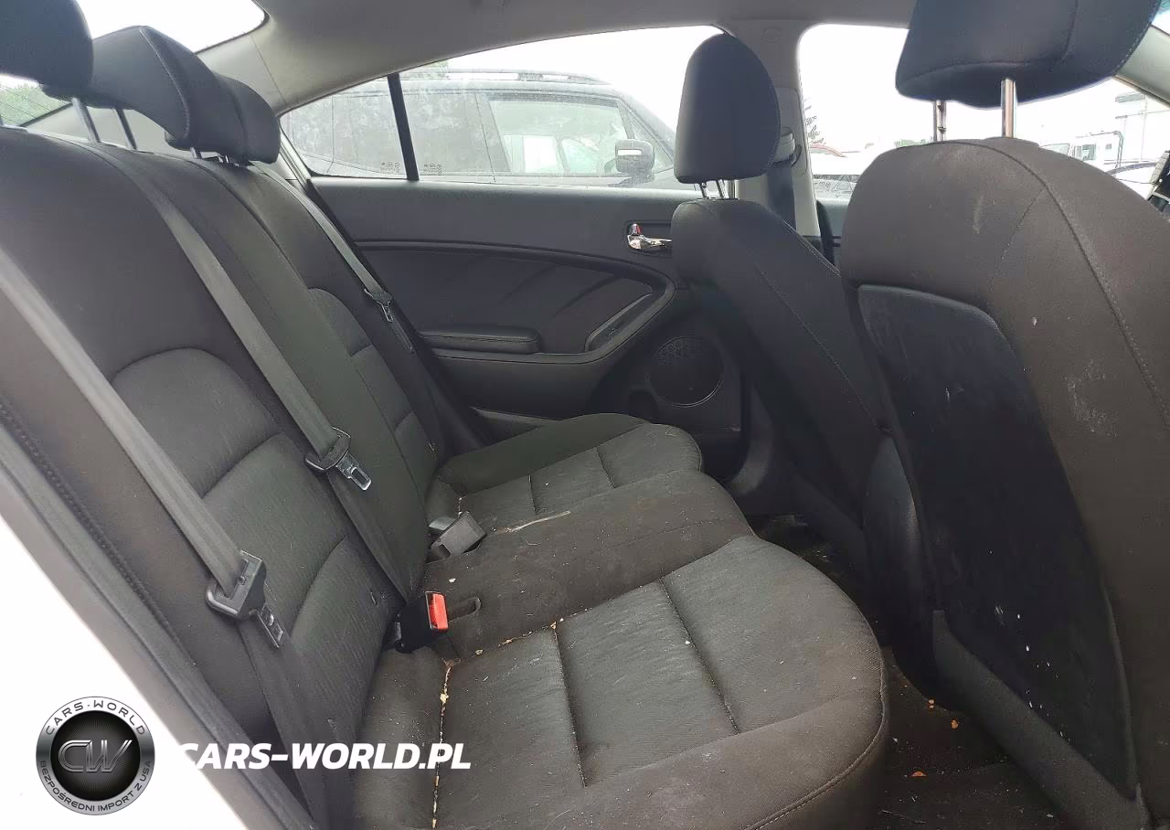 2016 Kia Forte Lx VIN:KNAFK4A67G5496195 - 10