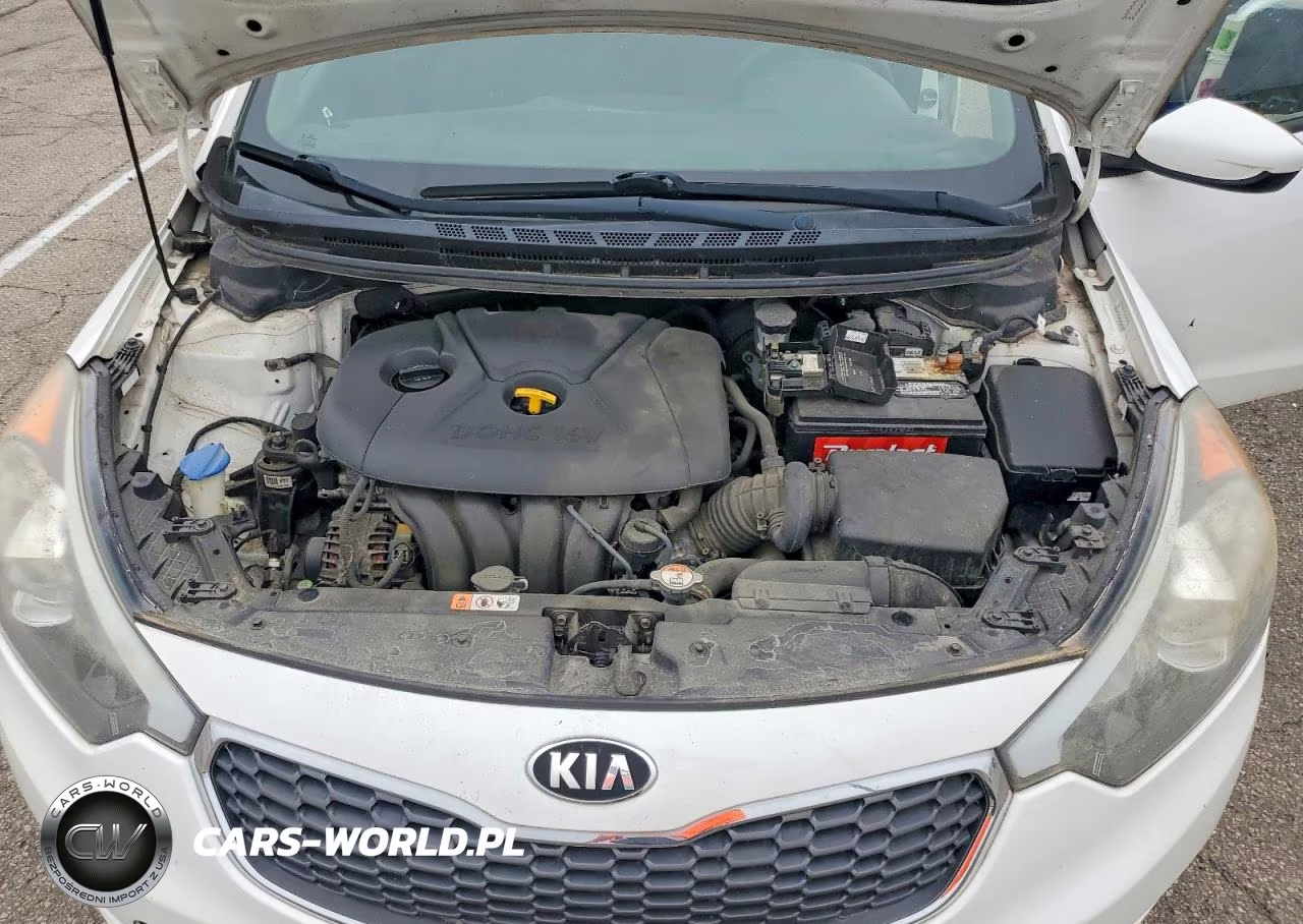 2016 Kia Forte Lx VIN:KNAFK4A67G5496195 - 11