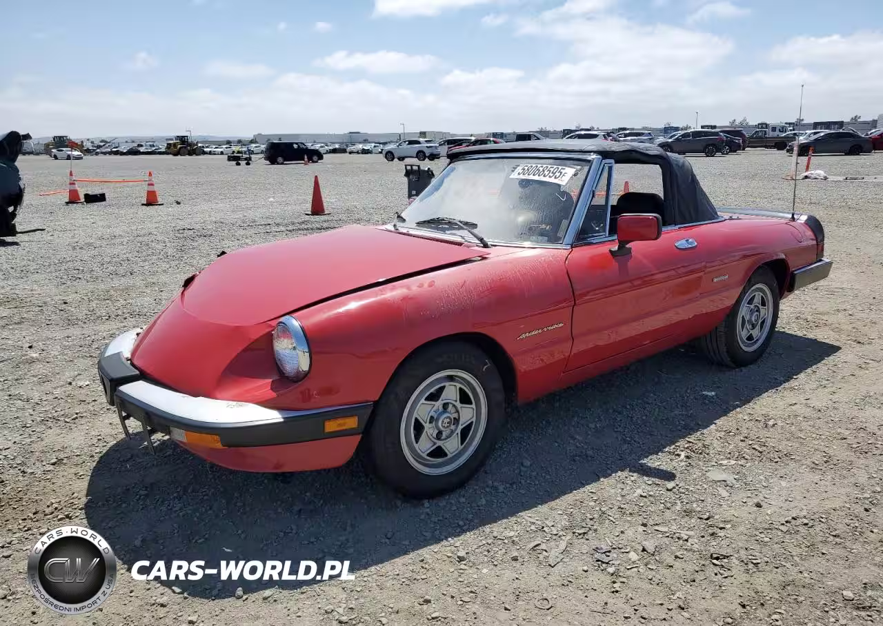 1987 Alfa Romeo Spider Veloce