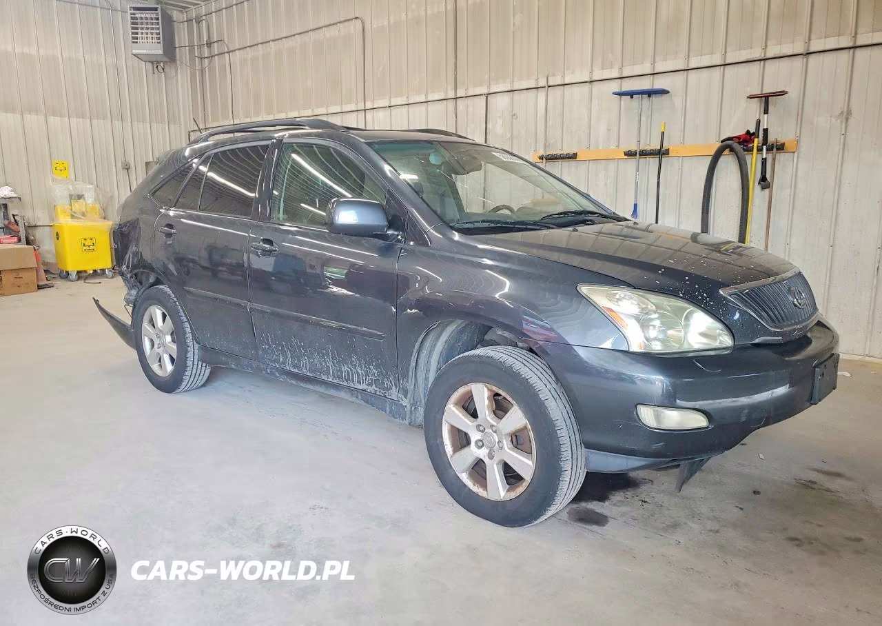 2004 Lexus Rx 330 VIN:JTJHA31U340062126 - 4