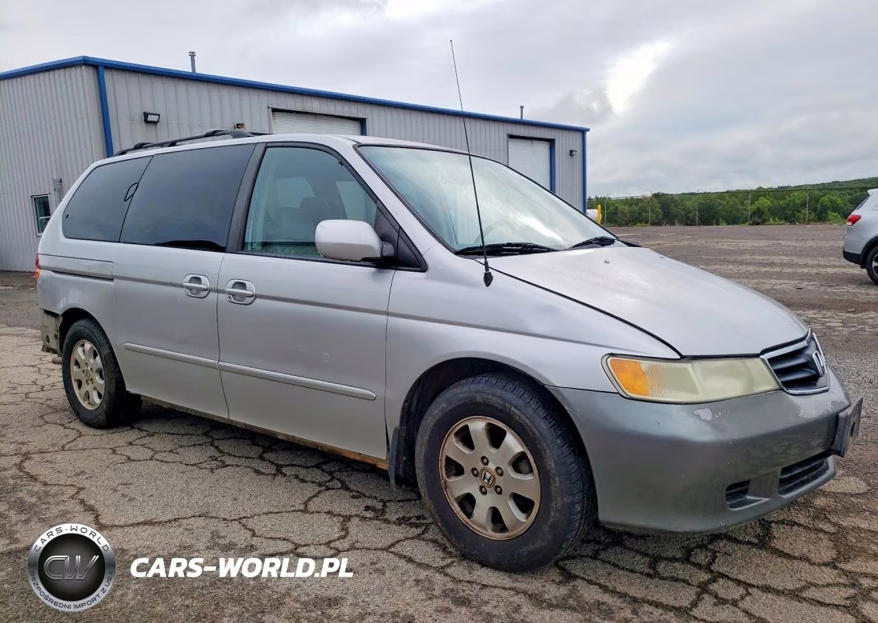 2004 Honda Odyssey VIN:5FNRL18964B046639 - 4