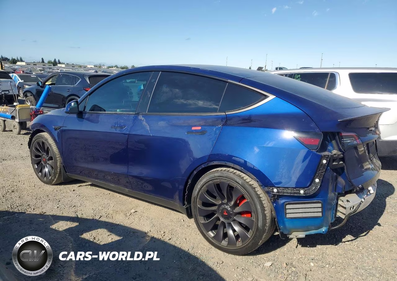 2022 Tesla Model Y VIN:7SAYGDEF8NF565563 - 2