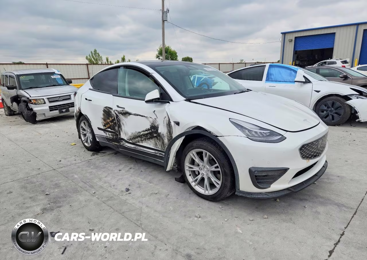 2022 Tesla Model Y VIN:7SAYGDEE9NF434469 - 4