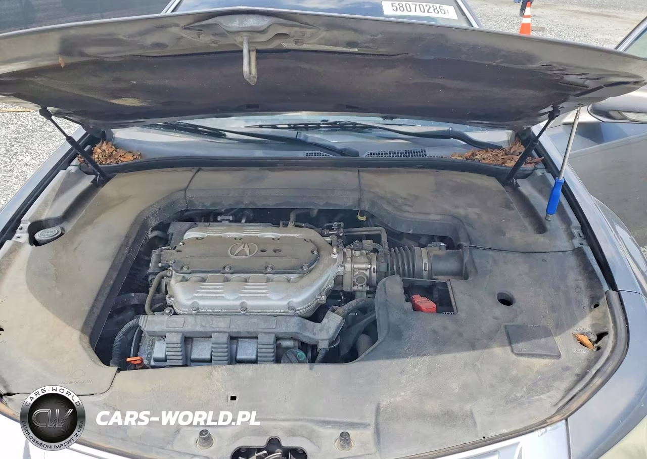 2010 Acura Tl VIN:19UUA8F54AA012505 - 11