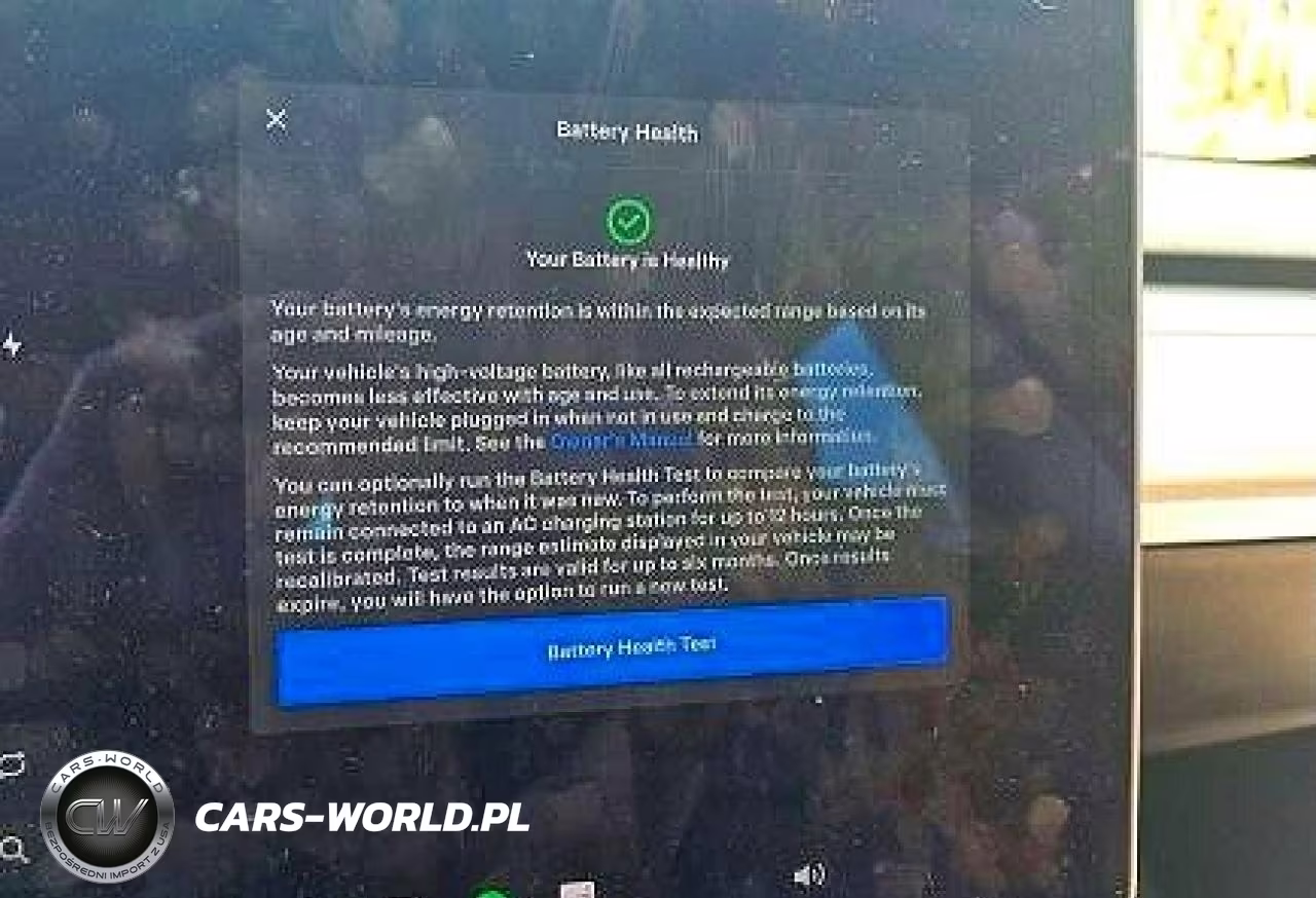 2021 Tesla Model 3 VIN:5YJ3E1EA4MF870380 - 11