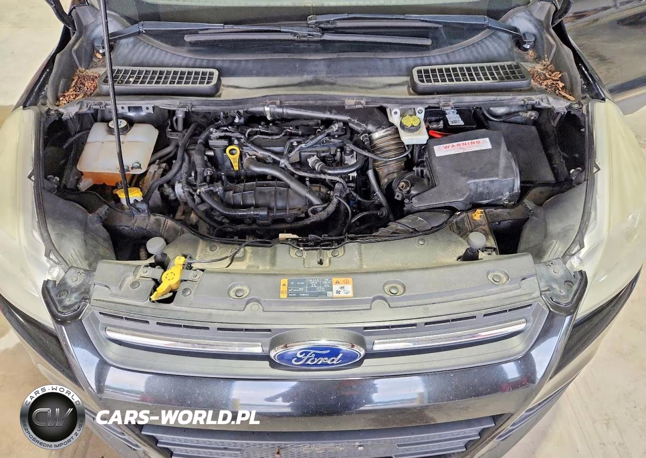 2015 Ford Escape Se VIN:1FMCU0GX7FUB58269 - 12