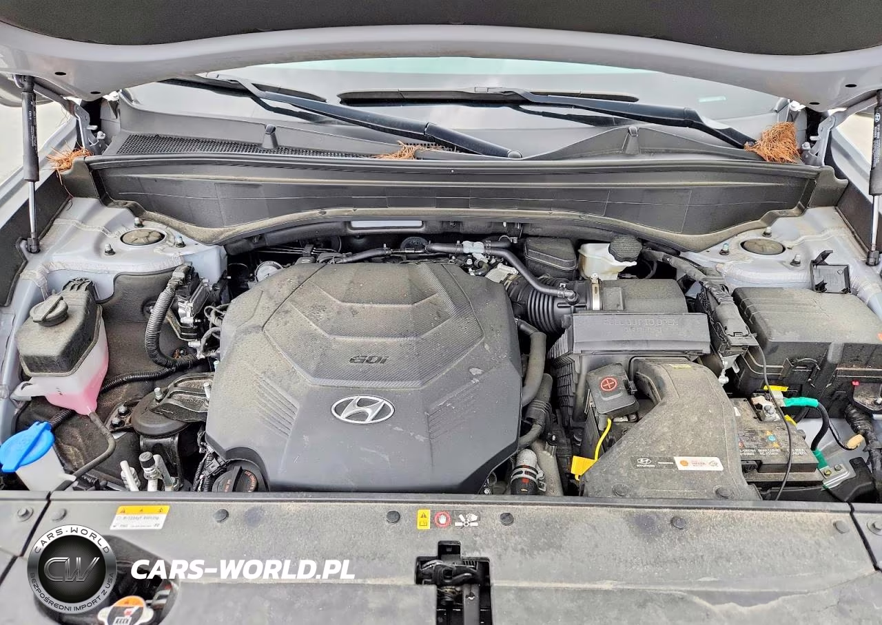 2024 Hyundai Palisade Sel Premium VIN:KM8R44GE6RU761685 - 12