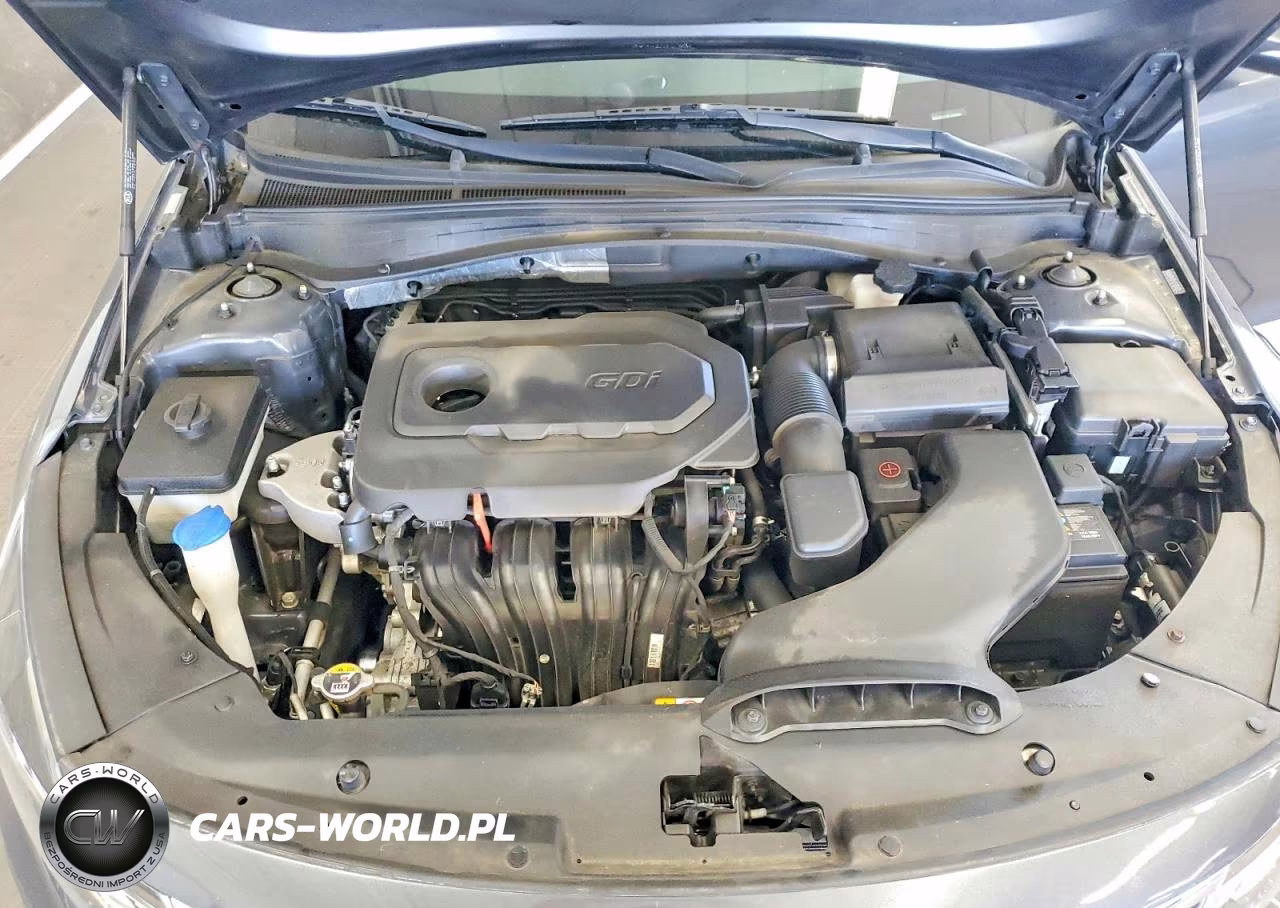 2020 Kia Optima Lx VIN:5XXGT4L38LG433684 - 11