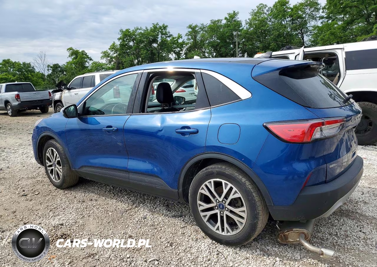 2022 Ford Escape Sel VIN:1FMCU0H69NUA65824 - 2