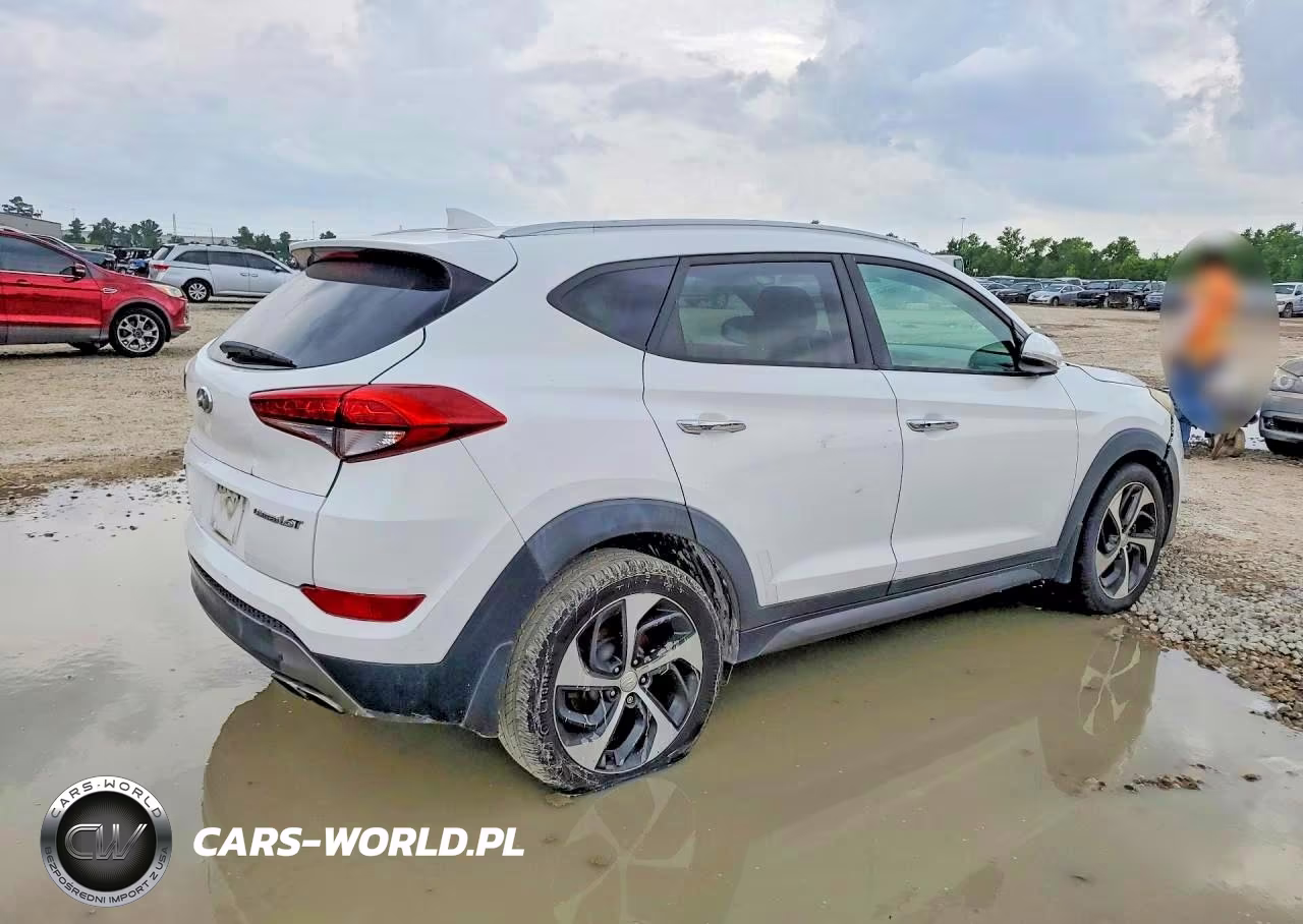 2016 Hyundai Tucson Limited VIN:KM8J33A23GU268603 - 3