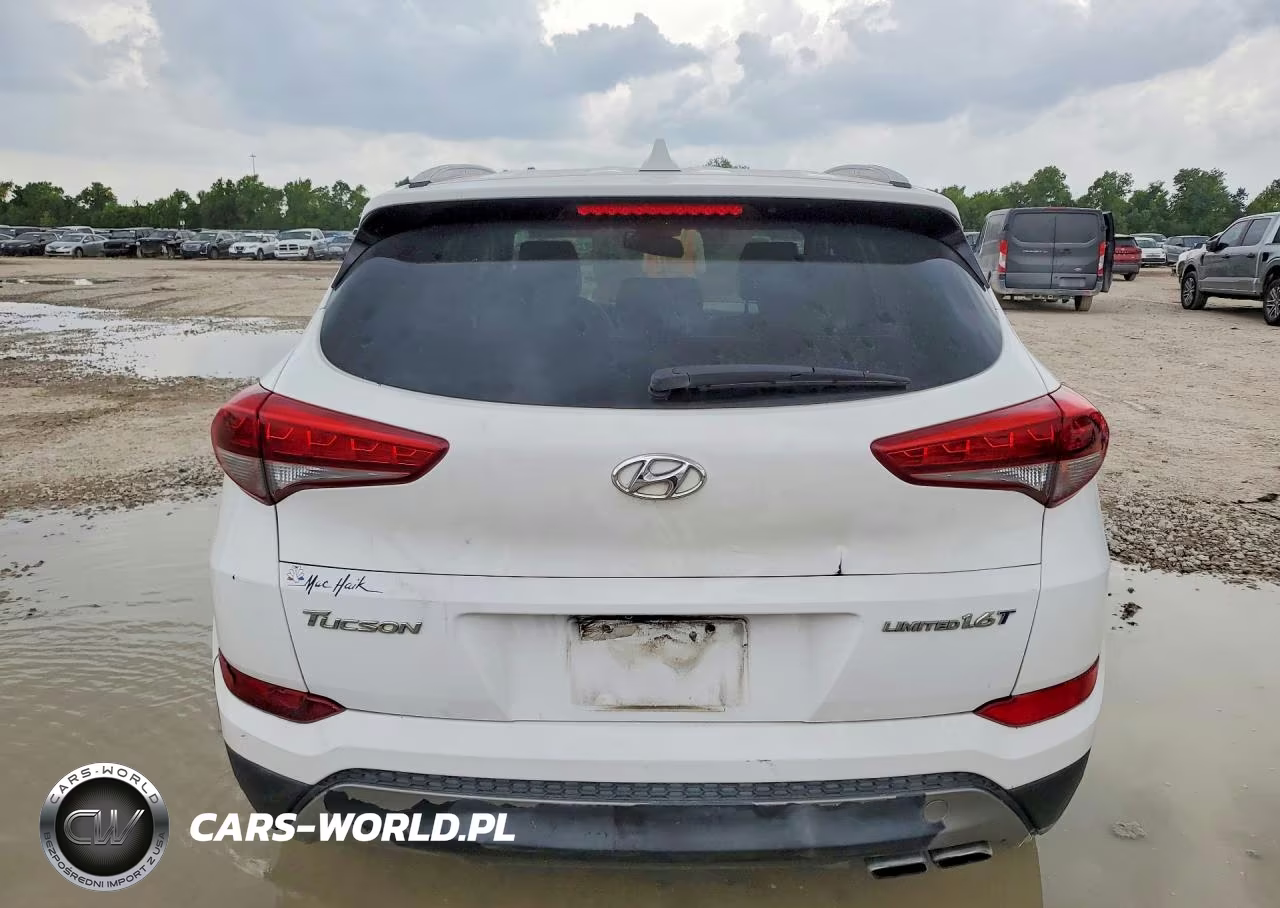 2016 Hyundai Tucson Limited VIN:KM8J33A23GU268603 - 6