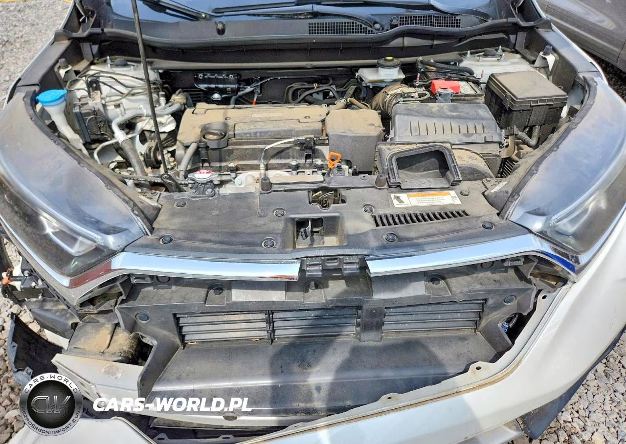 2019 Honda Cr-V Lx VIN:2HKRW5H36KH414813 - 12
