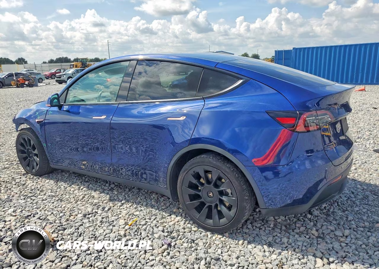 2022 Tesla Model Y VIN:7SAYGAEE1NF310176 - 2