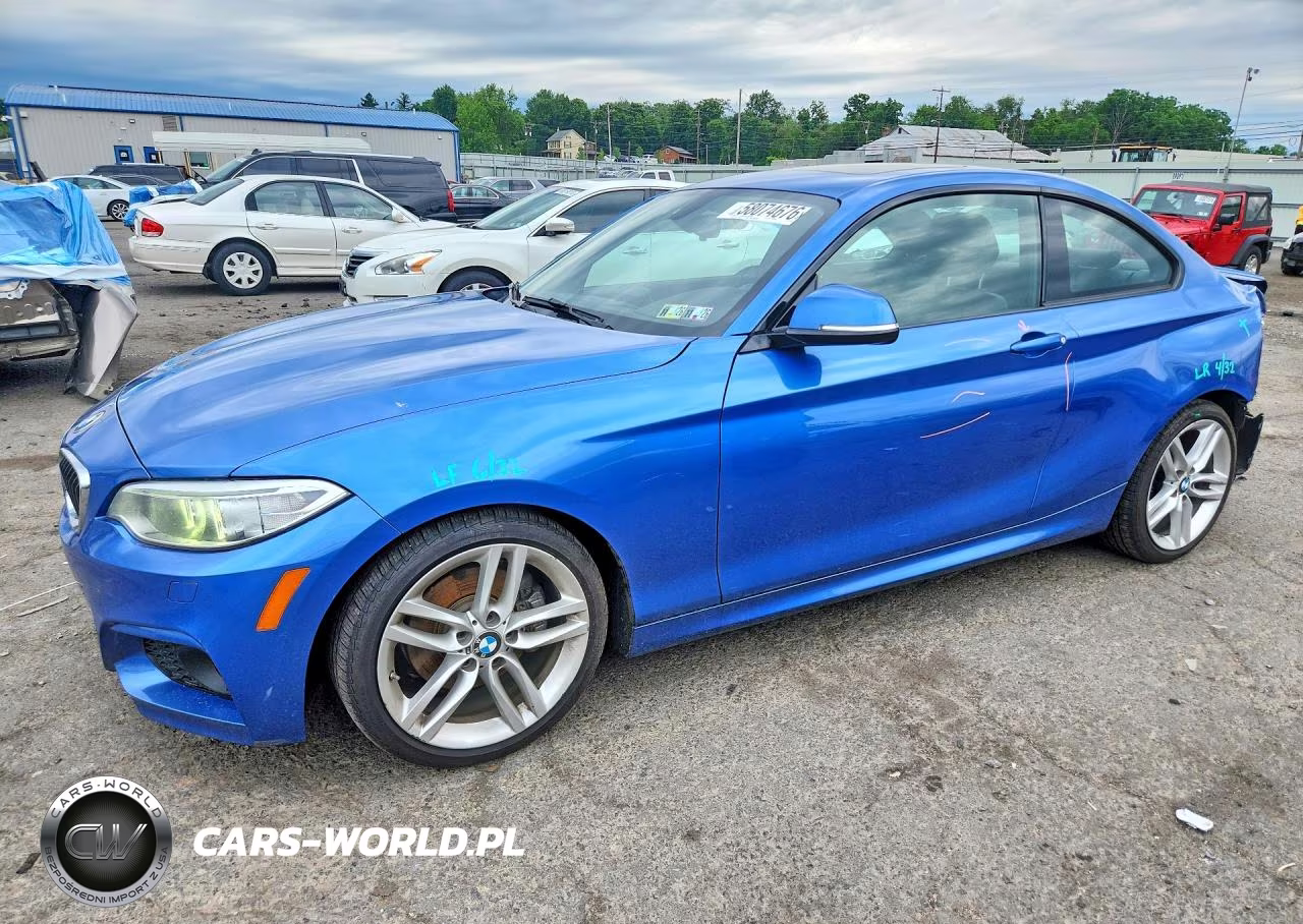 2017 BMW 230I