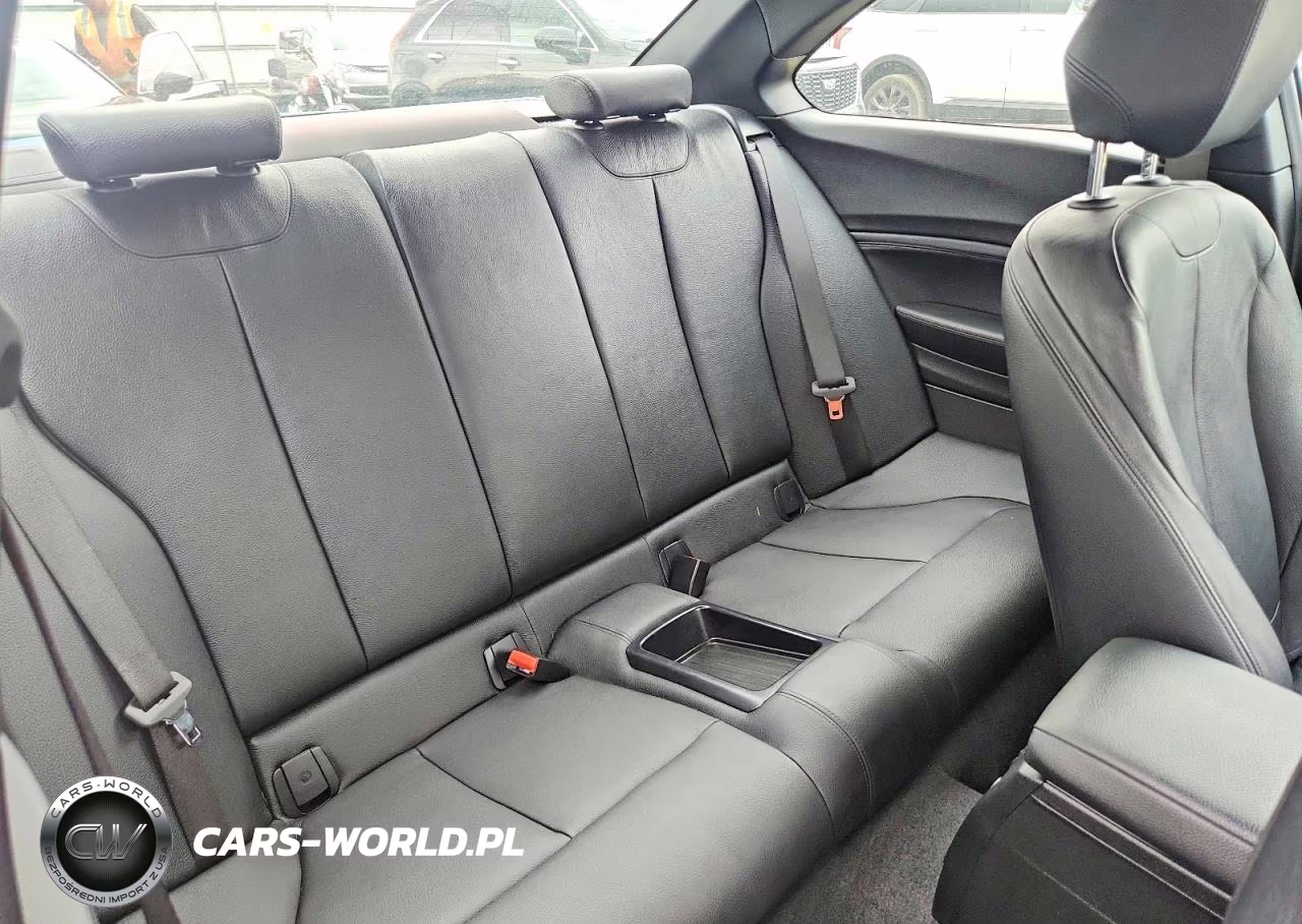2017 BMW 230I VIN:WBA2F9C39HV664892 - 10
