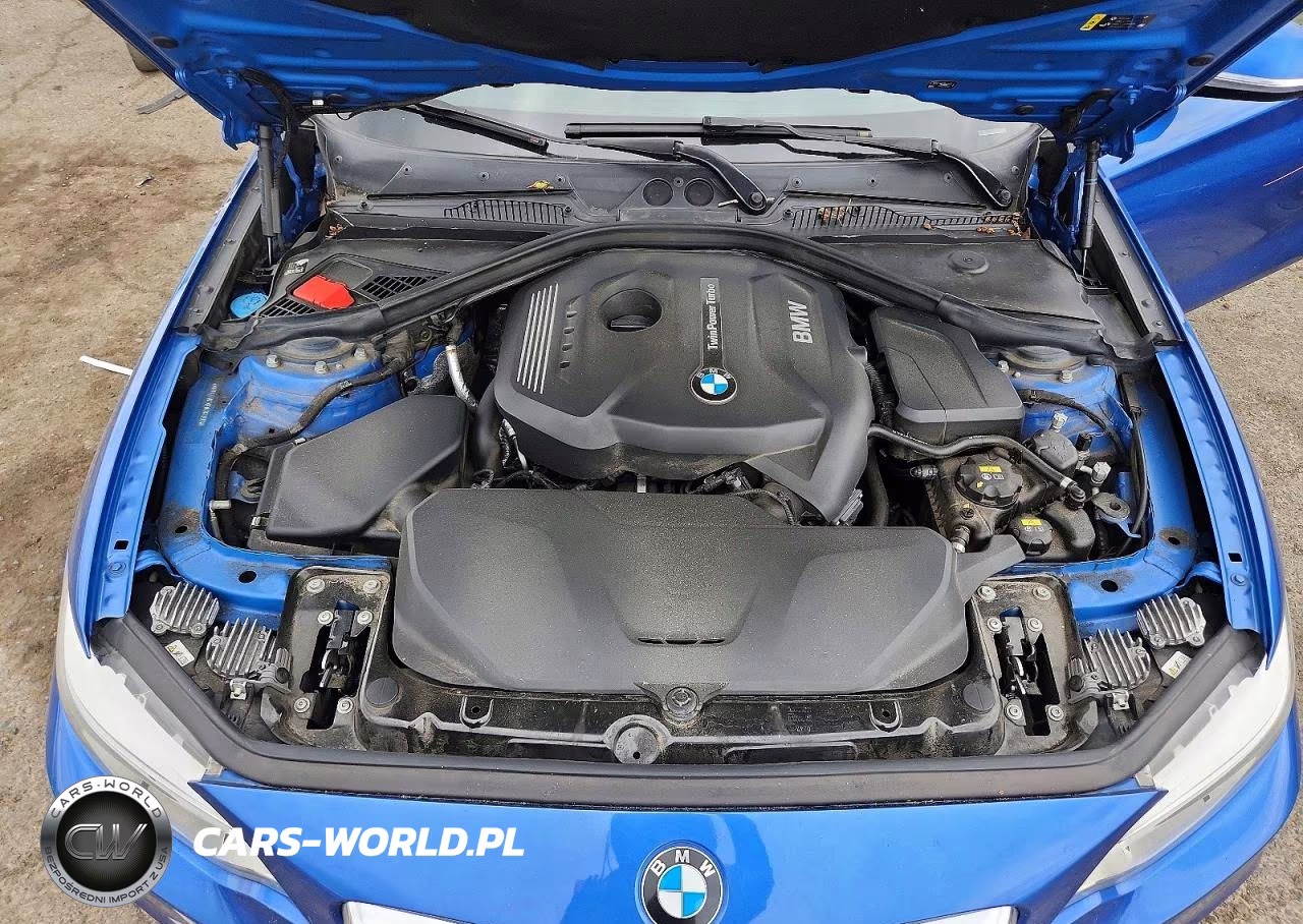 2017 BMW 230I VIN:WBA2F9C39HV664892 - 11