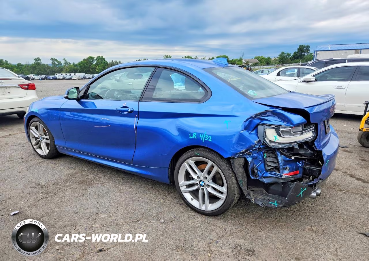 2017 BMW 230I VIN:WBA2F9C39HV664892 - 2