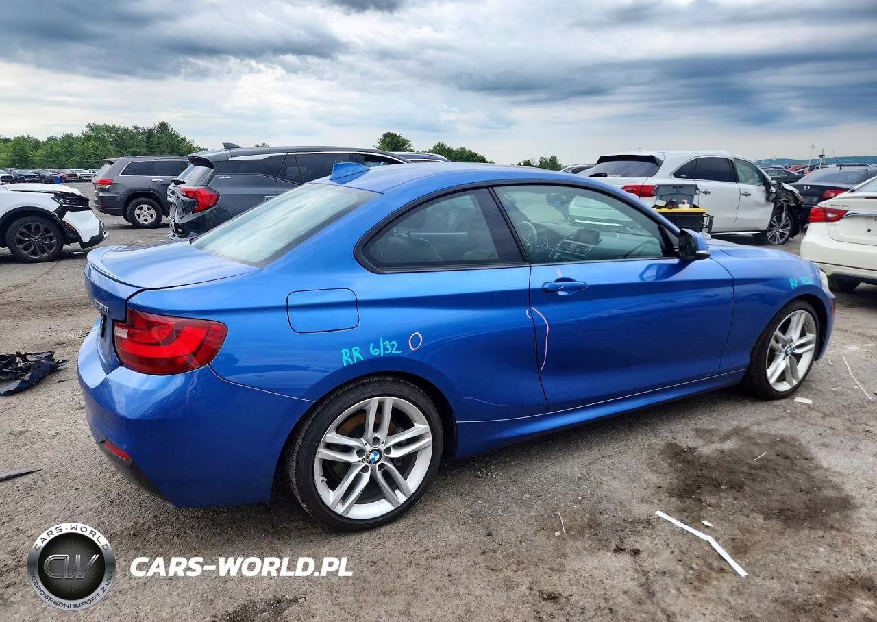 2017 BMW 230I VIN:WBA2F9C39HV664892 - 3