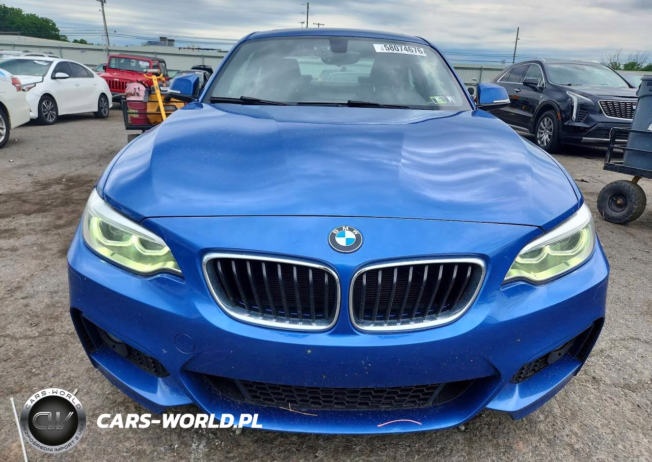 2017 BMW 230I VIN:WBA2F9C39HV664892 - 5