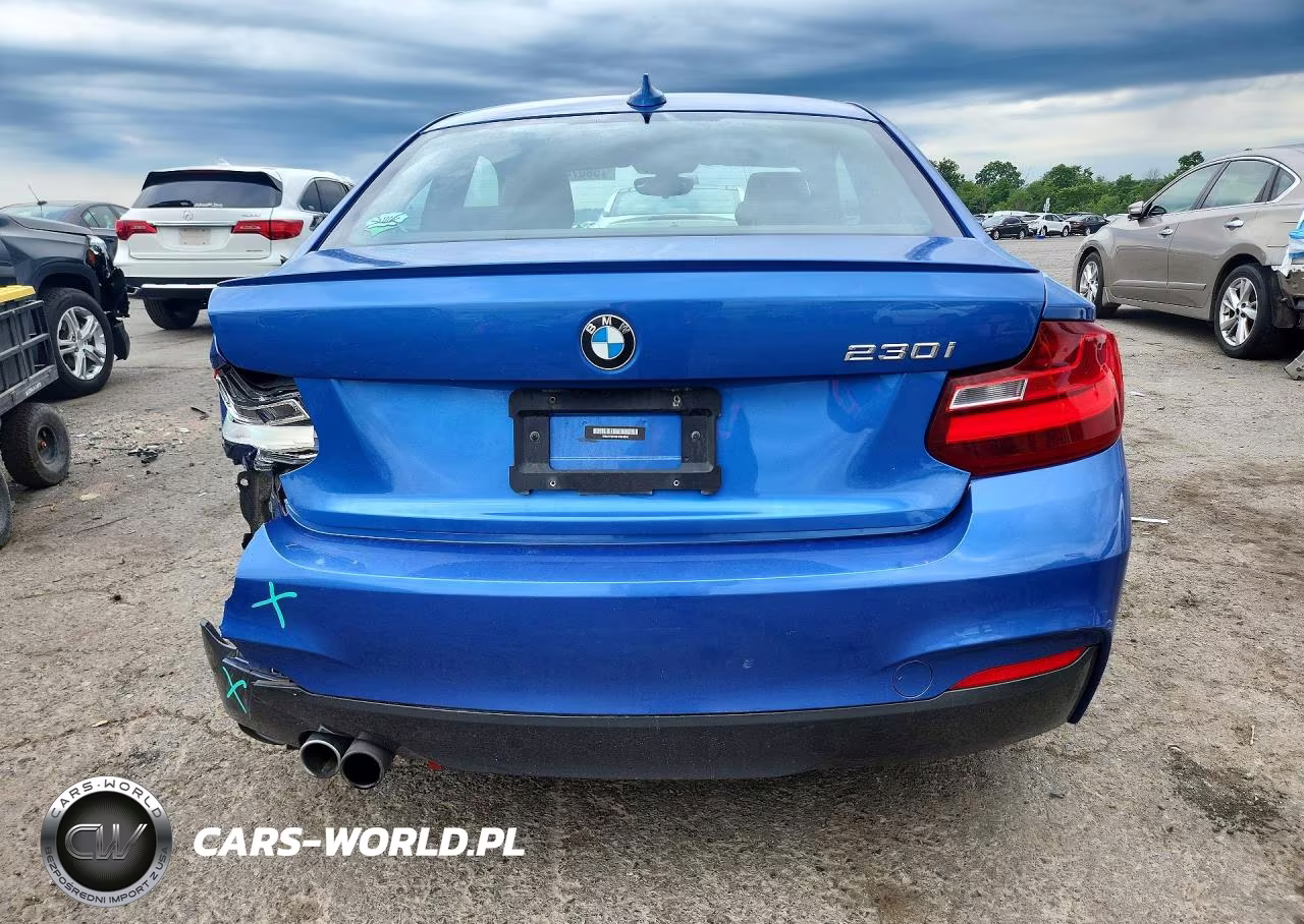 2017 BMW 230I VIN:WBA2F9C39HV664892 - 6