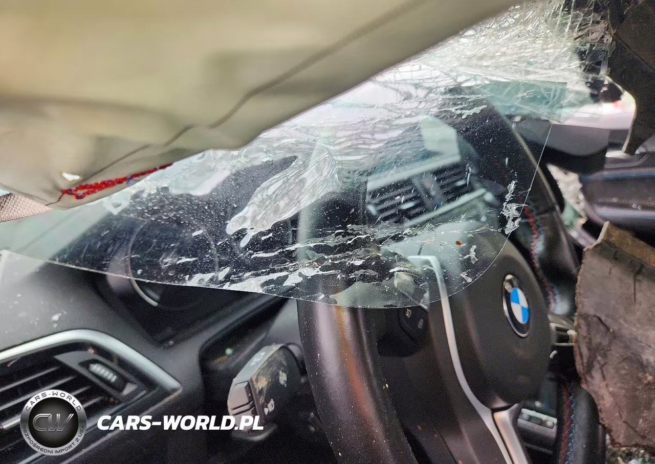 2021 BMW M2 Competition VIN:WBS2U7C03M7H13808 - 9