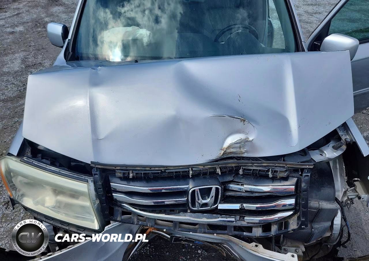 2014 Honda Pilot Exl VIN:5FNYF3H58EB026793 - 12