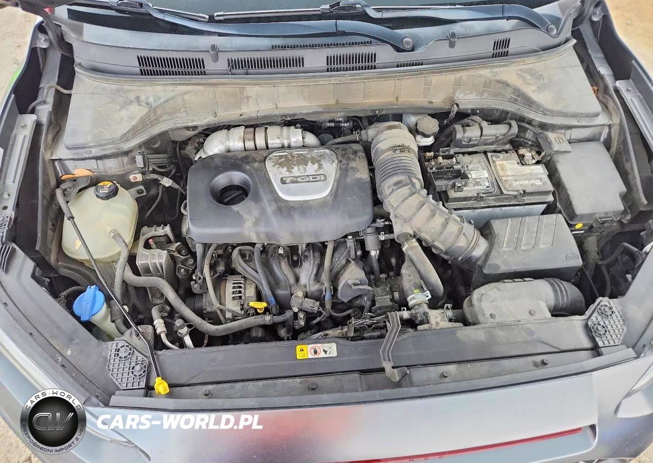 2019 Hyundai Kona Ultimate VIN:KM8K53A57KU309154 - 12