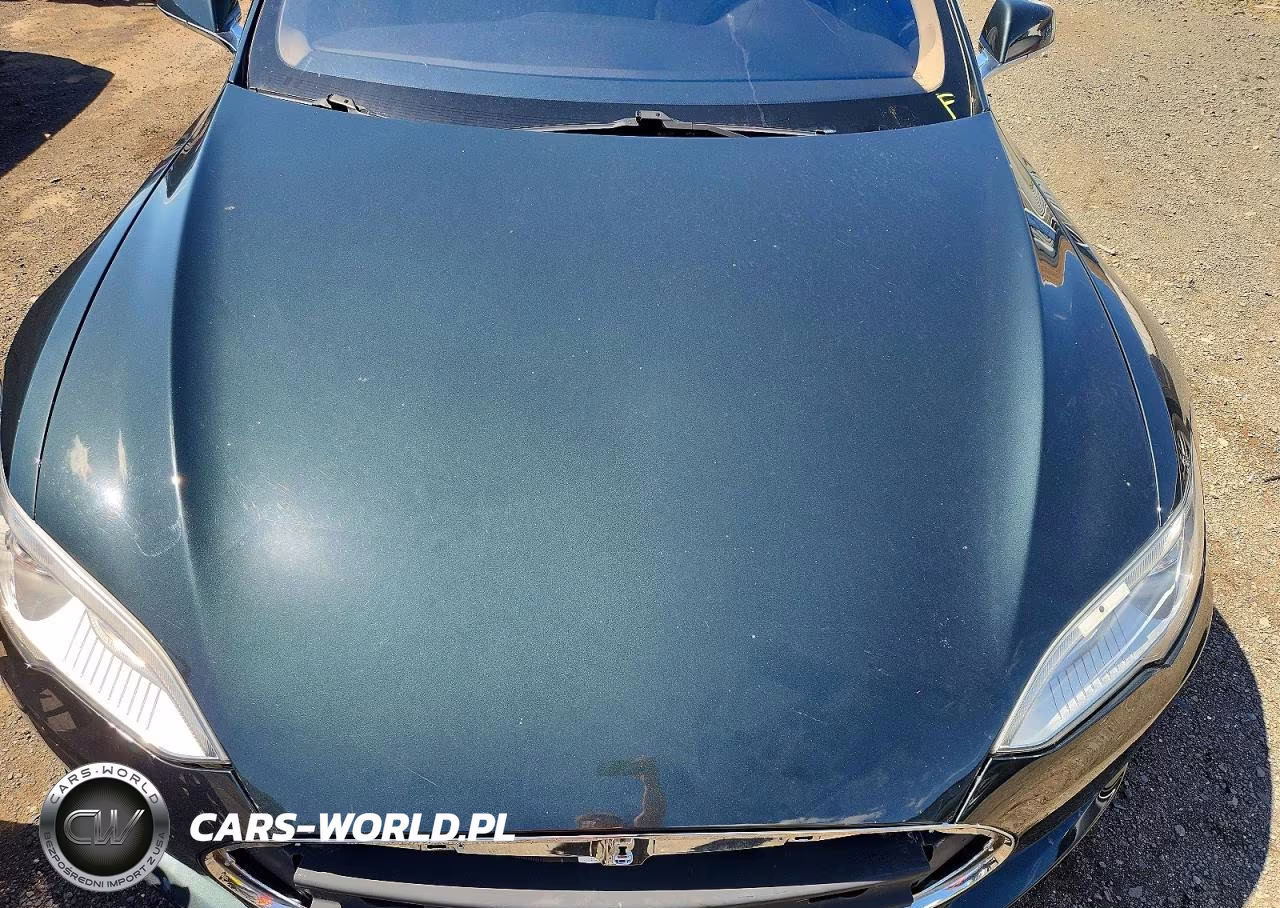 2013 Tesla Model S VIN:5YJSA1DN5DFP09094 - 11