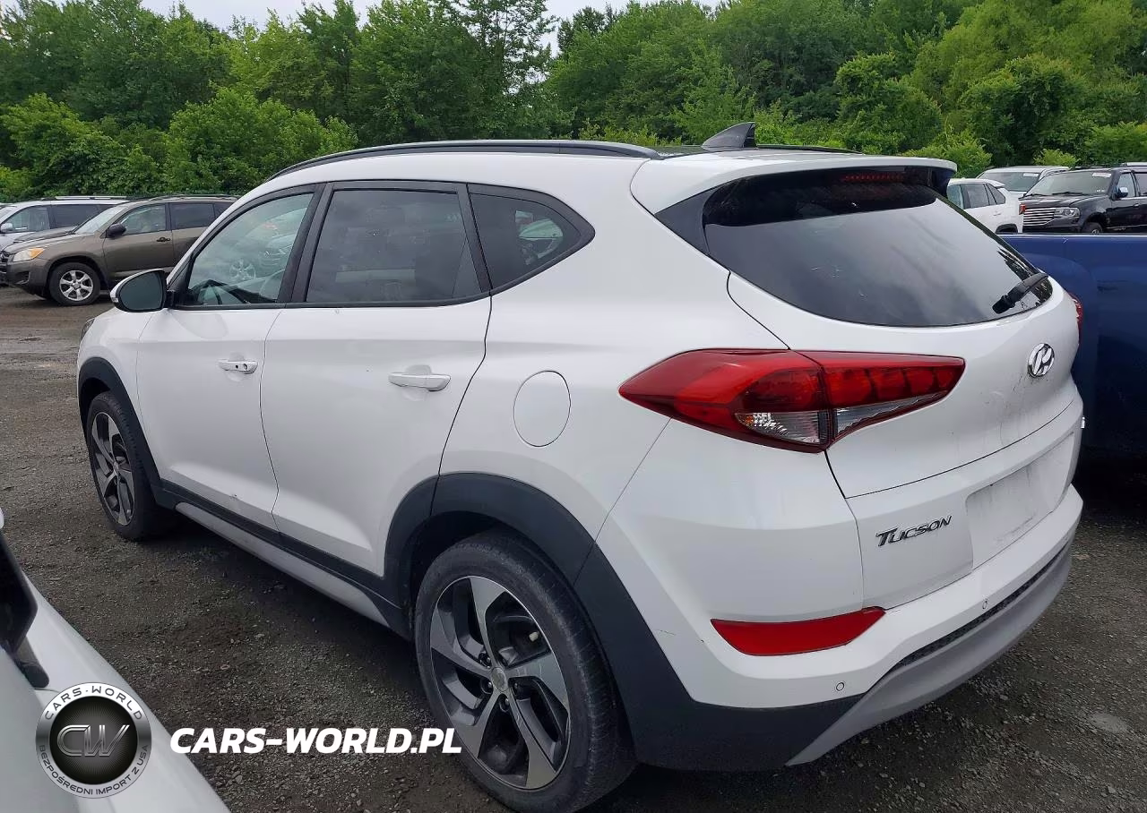 2018 Hyundai Tucson Value VIN:KM8J3CA25JU684742 - 2
