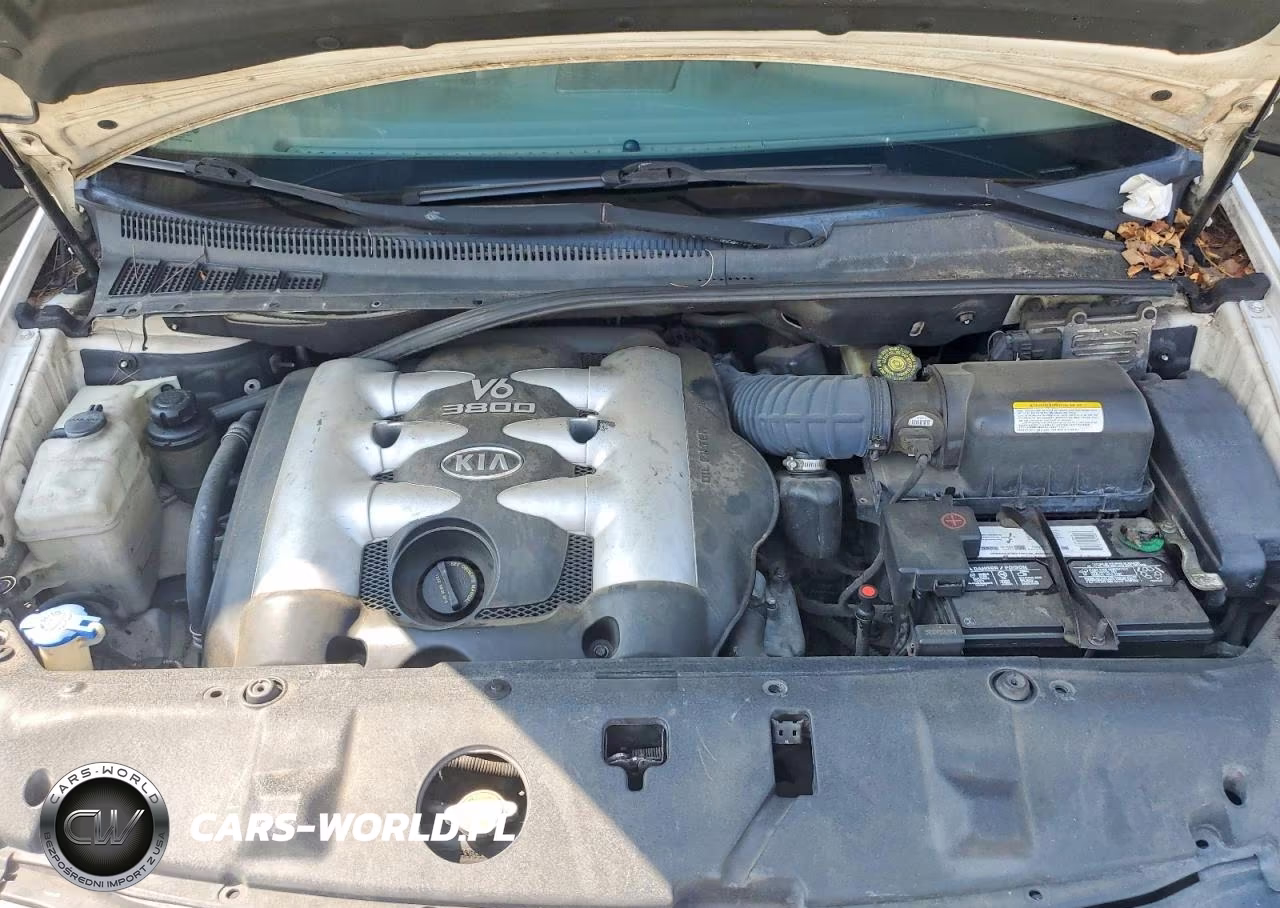 2006 Kia Sedona Lx VIN:KNDMB233366050877 - 12