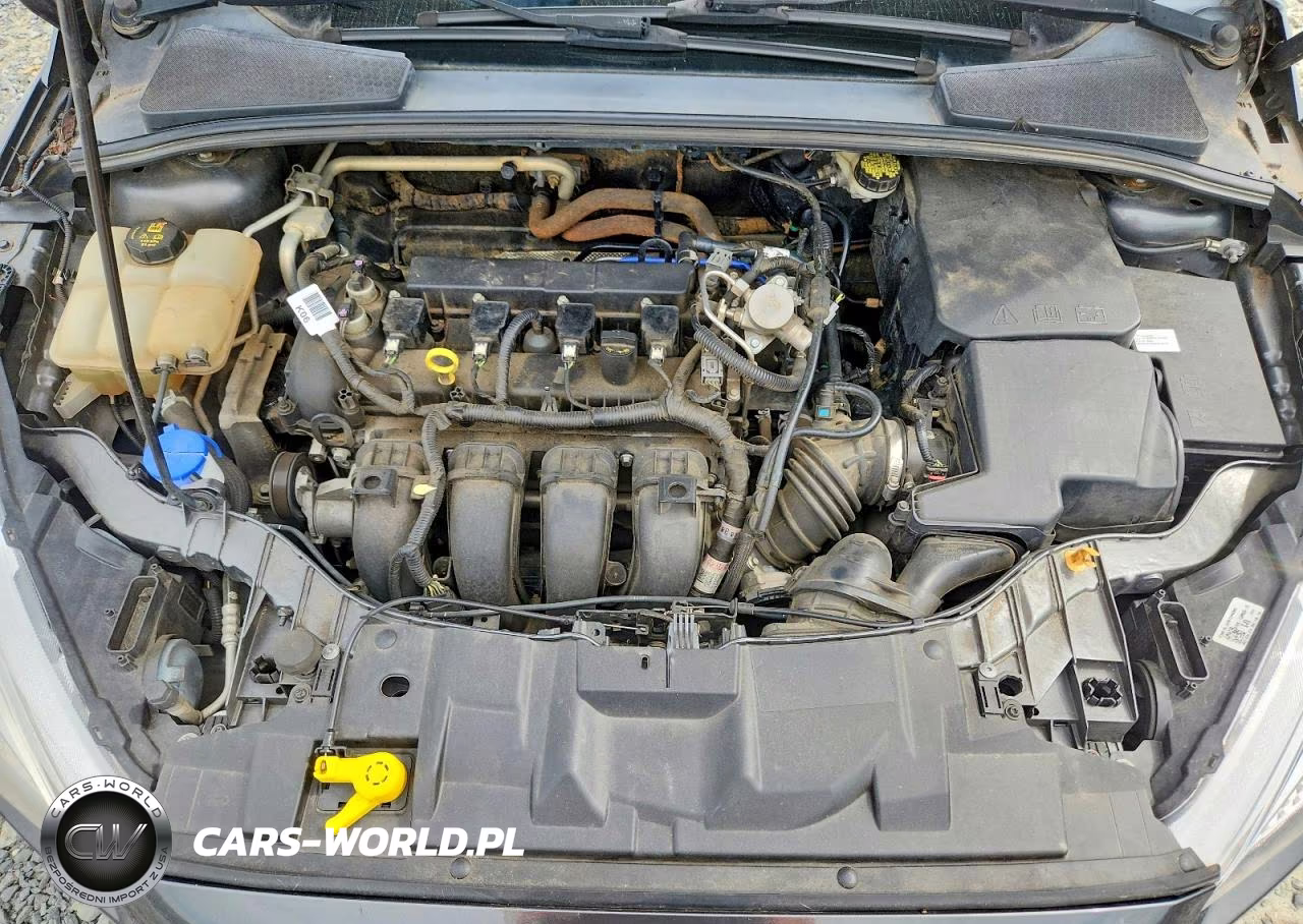 2016 Ford Focus Se VIN:1FADP3F25GL381737 - 11