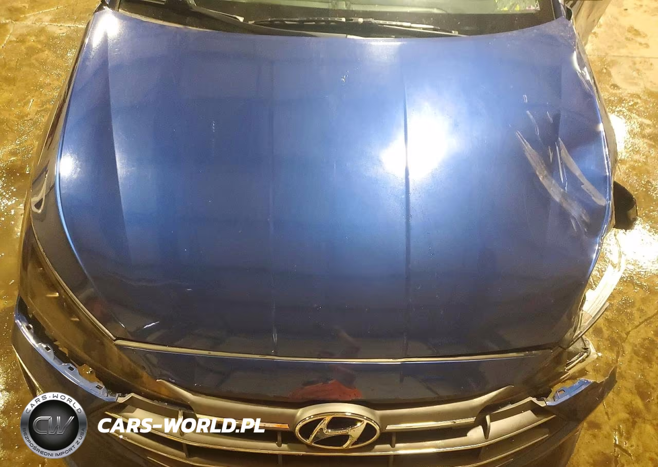 2020 Hyundai Elantra Limited VIN:5NPD84LF5LH616835 - 11