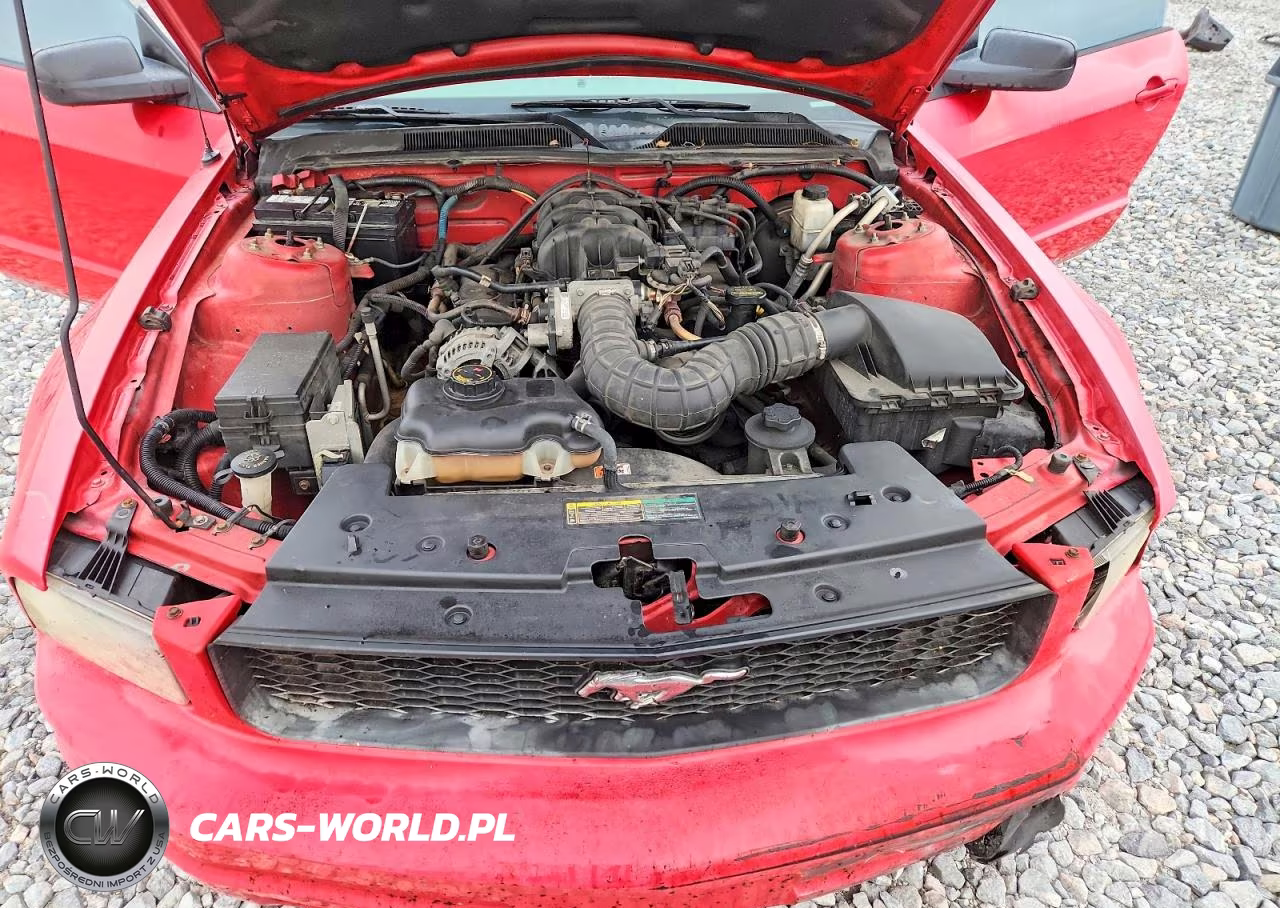 2009 Ford Mustang VIN:1ZVHT80N295109643 - 11