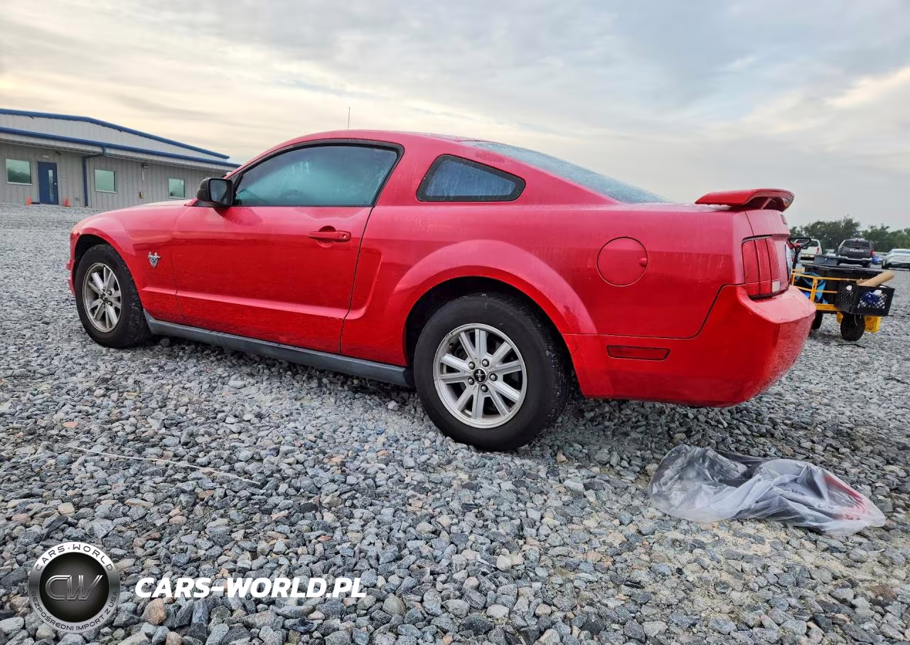2009 Ford Mustang VIN:1ZVHT80N295109643 - 2