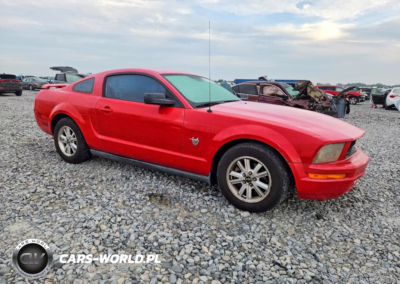2009 Ford Mustang VIN:1ZVHT80N295109643 - 4